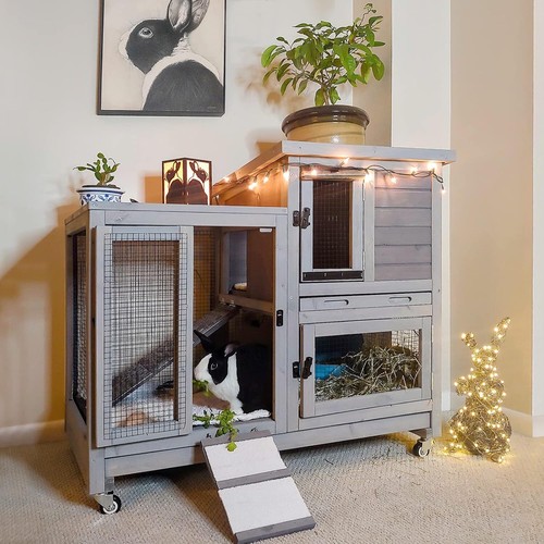 Aivituvin upgrade rabbit cage - rabbit,