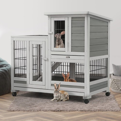 Rabbit hutch pet - rabbit, house